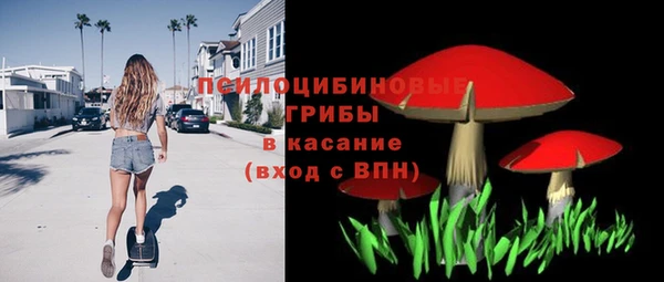 стаф Михайлов