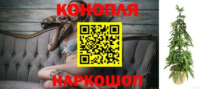 стаф Абакан