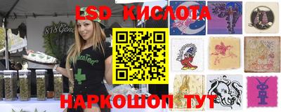 стаф Абакан