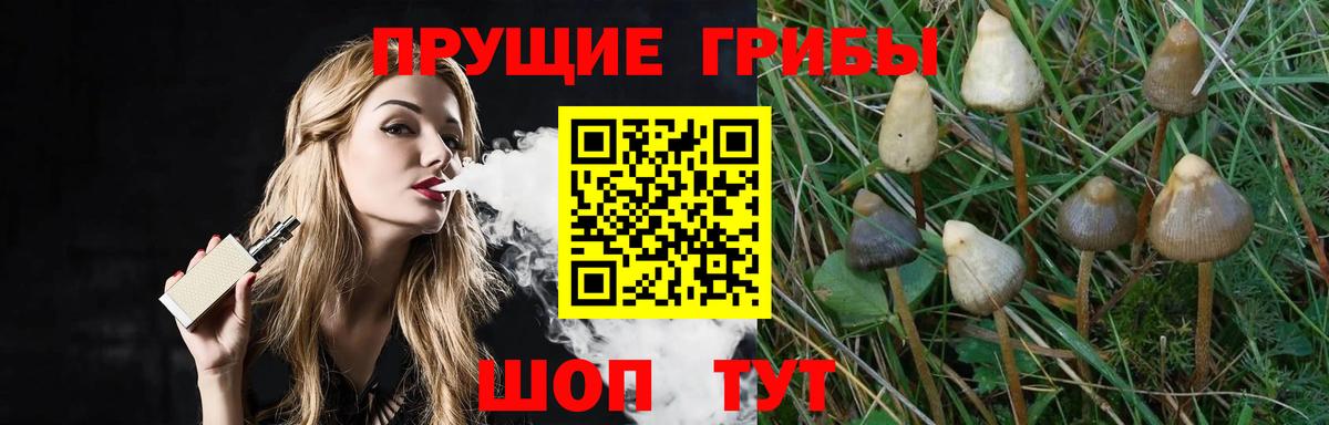 сколько стоит  Галлюциногенные грибы Psilocybine cubensis  Абакан  Вход с VPN  Галлюциногенные грибы GOLDEN TEACHER 